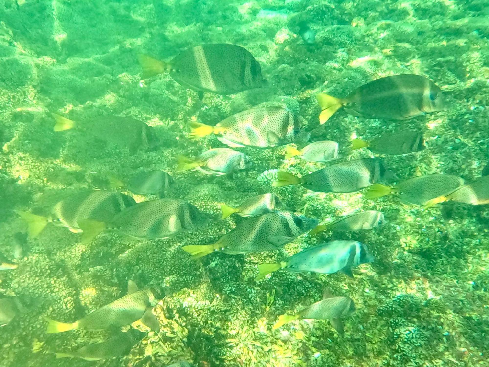 Agua Azul La Villa Санта Крус Уатулко Екстериор снимка